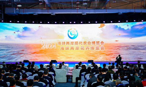 2024年海峡两岸现代农业博览会·海峡两岸花卉博览会在福建漳州开幕