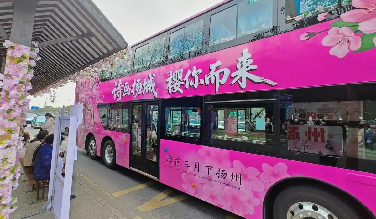 串联赏樱观光新模式!苏州金龙双层巴士开进扬州浪漫樱花季